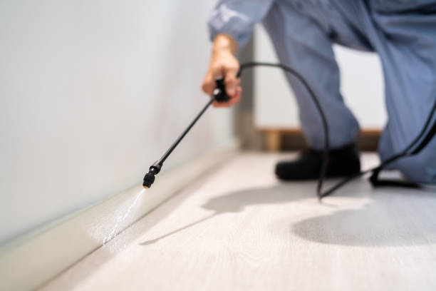 Licensed Pest Control service in LaBarque Creek, MO - Show Me Pest Control
